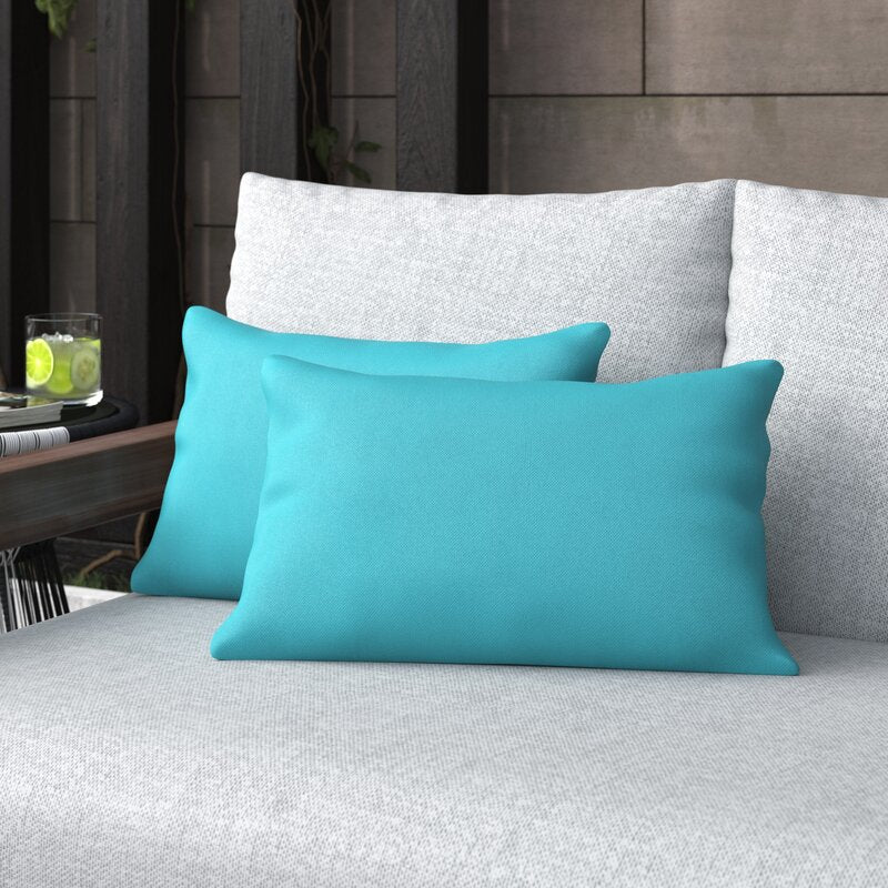 Indoor/Outdoor Throw Pillow (Set of 2)