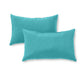 Indoor/Outdoor Throw Pillow (Set of 2)
