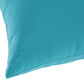 Indoor/Outdoor Throw Pillow (Set of 2)