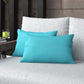 Indoor/Outdoor Throw Pillow (Set of 2)
