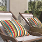 Indoor/Outdoor Throw Pillow (Set of 2)