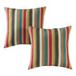 Indoor/Outdoor Throw Pillow (Set of 2)
